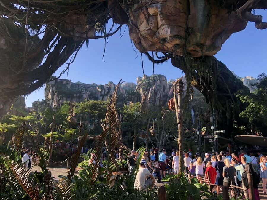 Avatar Flight Of Passage