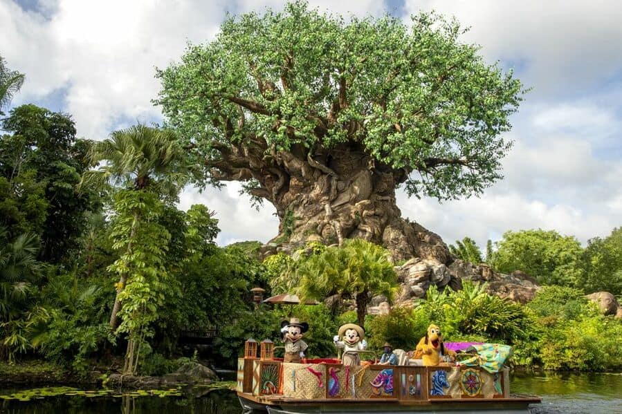 Disney's Animal Kingdom Theme Park