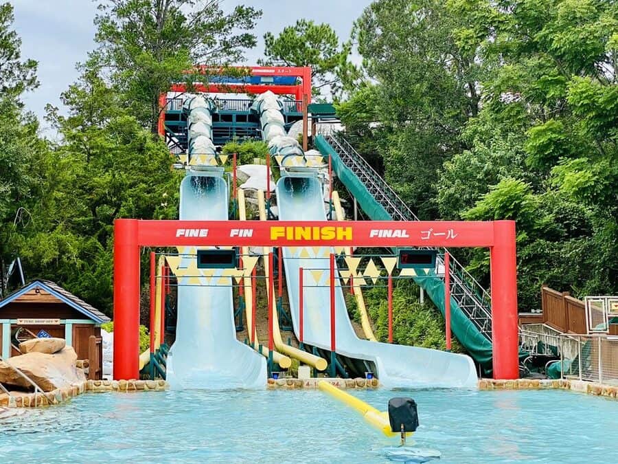 Downhill Double Dipper At Blizzard Beach