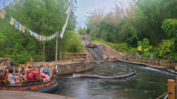 Water Rides at Disney World That Can’t Be Missed | ParkVeteran