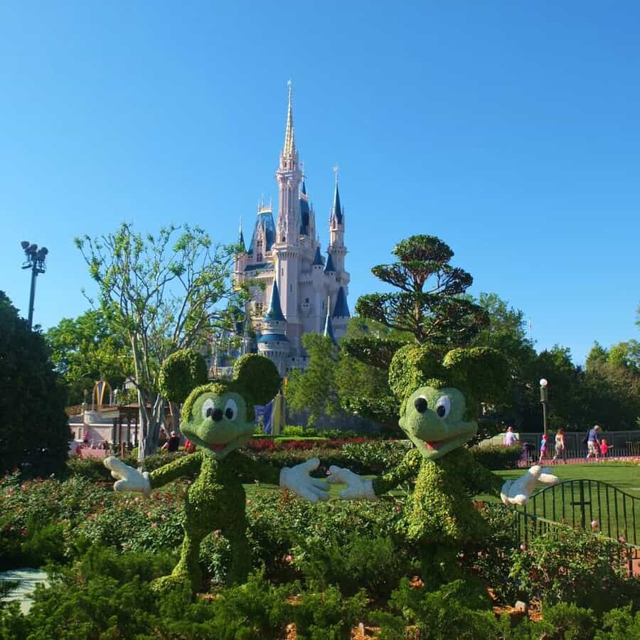 Mickey Mouse And Minnie Mouse Topiary At Disney World