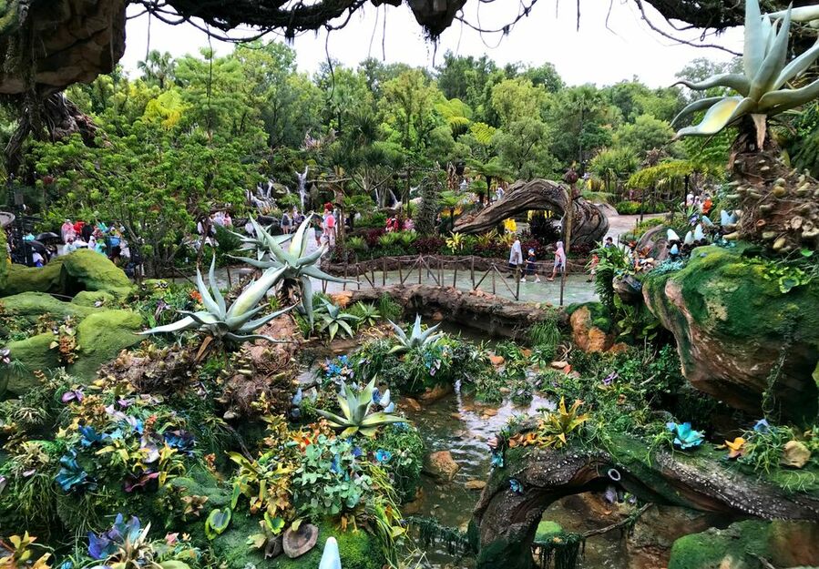 Pandora - The World Of Avatar