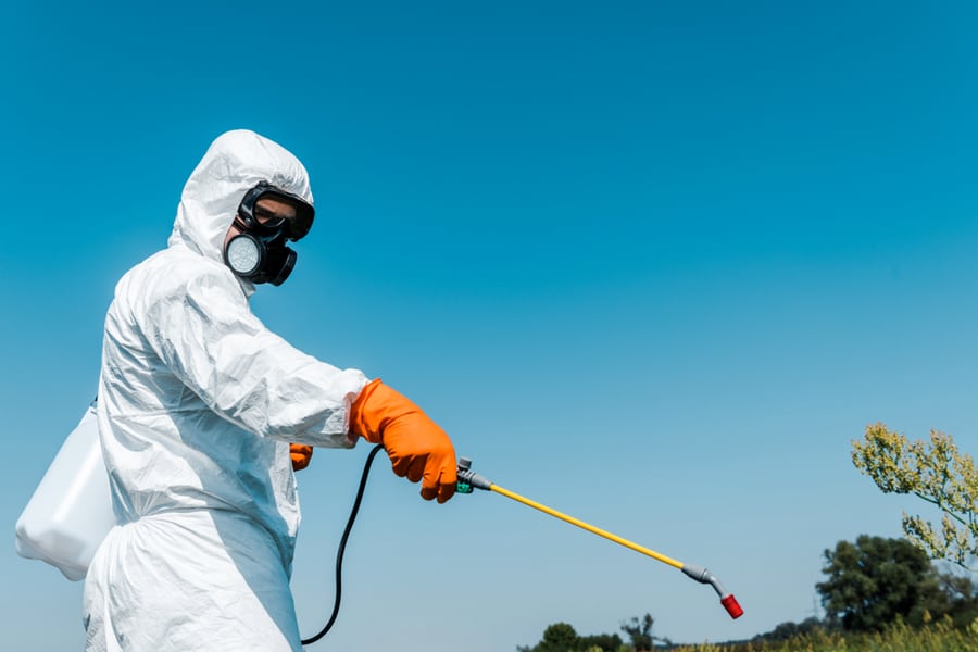 Pest Control Professional Spraying Insecticide Outdoors