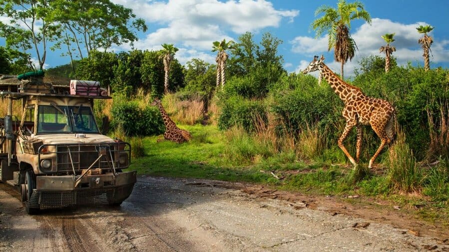 Photo From Kilimanjaro Safari