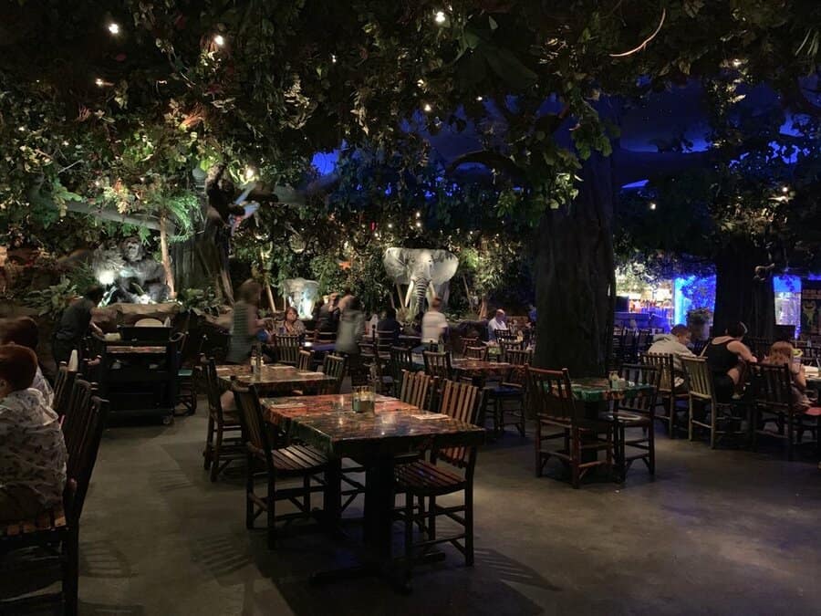 Photo From Rainforest Cafe