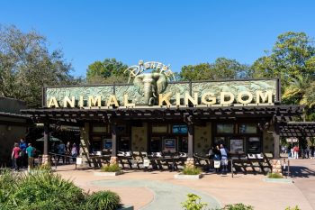 The Entrance Of Animal Kingdom