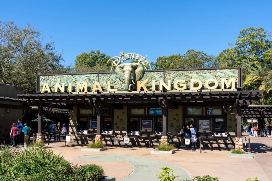 He Entrance To Animal Kingdom In Orlando, Florida, Usa. Animal Kingdom Theme Park Is A Zoological Theme Park At The Walt Disney World Resort.