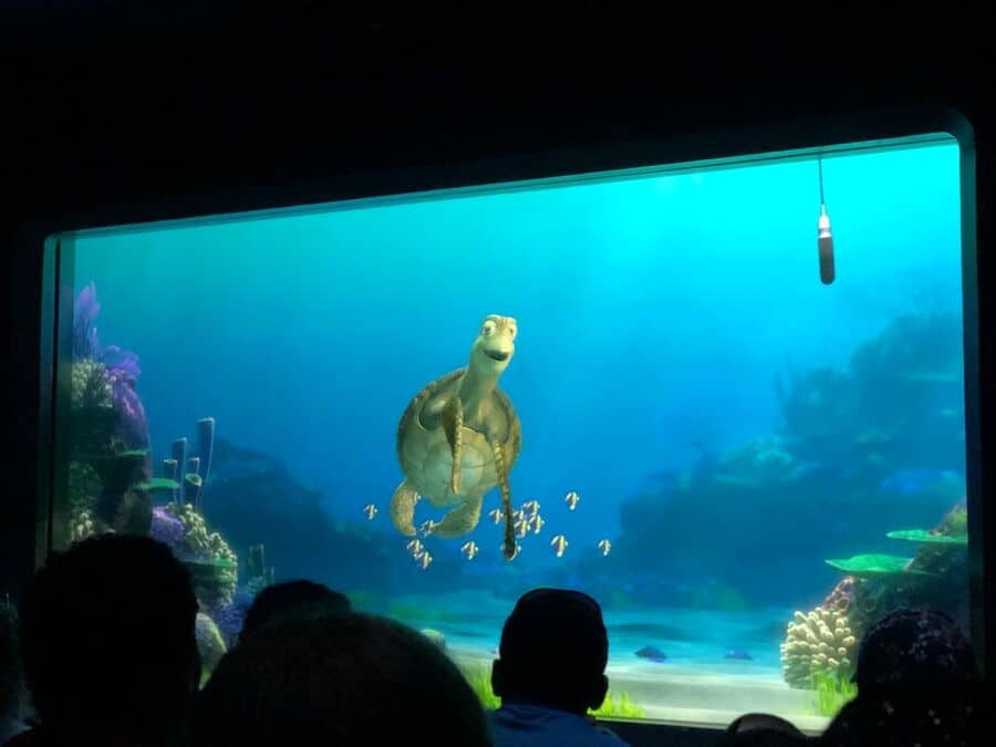 Turtle Talk With Crush Located In The Pavilion Of The Seas With Nemo And Friends