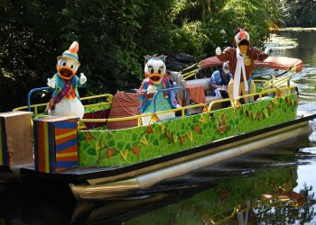 Donald Duck And Daisy Duck At The Animal Kingdom.