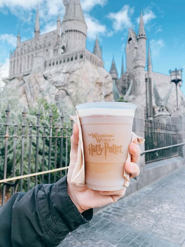 Explore The Wonders Of The Wizarding World