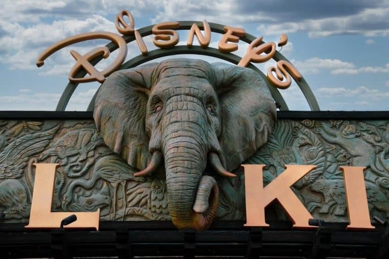 How To Rope Drop at Animal Kingdom ParkVeteran