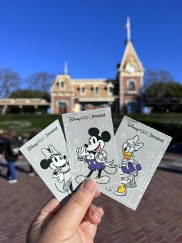 Why You Should Use A Disney Travel Agent