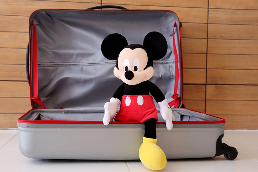 Big Gray Luggage Bag With Mickey Mouse Toy On It