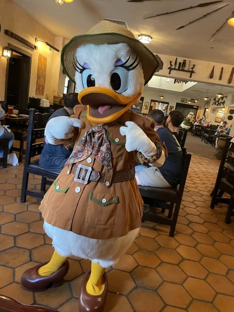 Daisy And Donald Duck