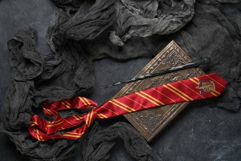 Complete Guide to Universal Harry Potter Wands ParkVeteran
