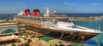 How To Volunteer For Disney Cruise