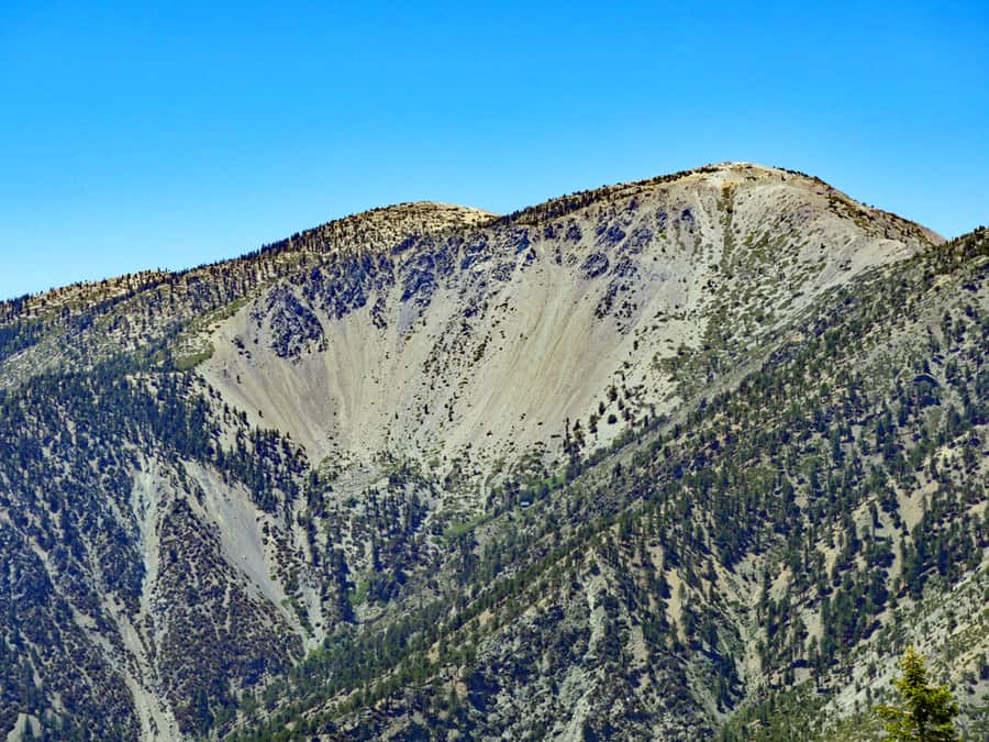 Mount Baldy And The Baldy Bowl, Taken From The South On Thunder Mountain, California