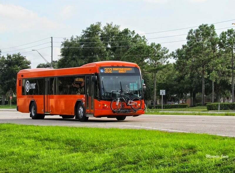 Public Transportation (Lynx Bus)