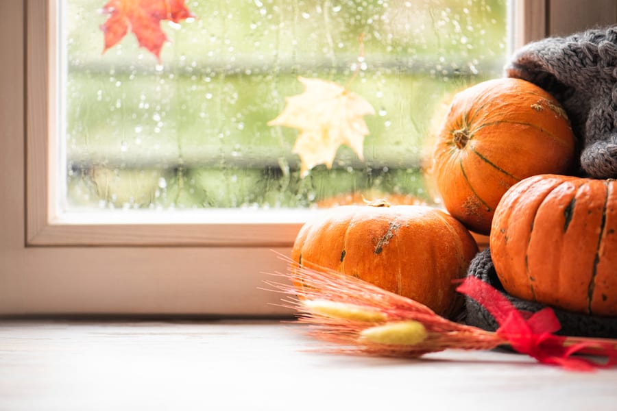 Pumpkins On The Sill Window, Rainy Weather Outside