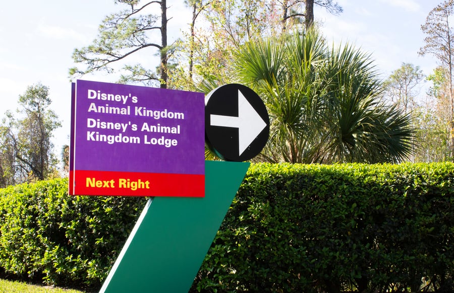 Red And Purple Sign Marking The Way To Animal Kingom And Resort At Disney