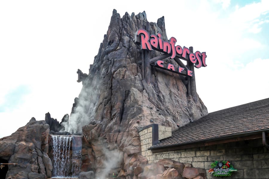 The Rainforest Cafe At Disney Springs In Lake Buena Vista