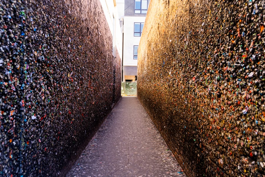 Wide Angle View Of The Walls Of Bubblegum