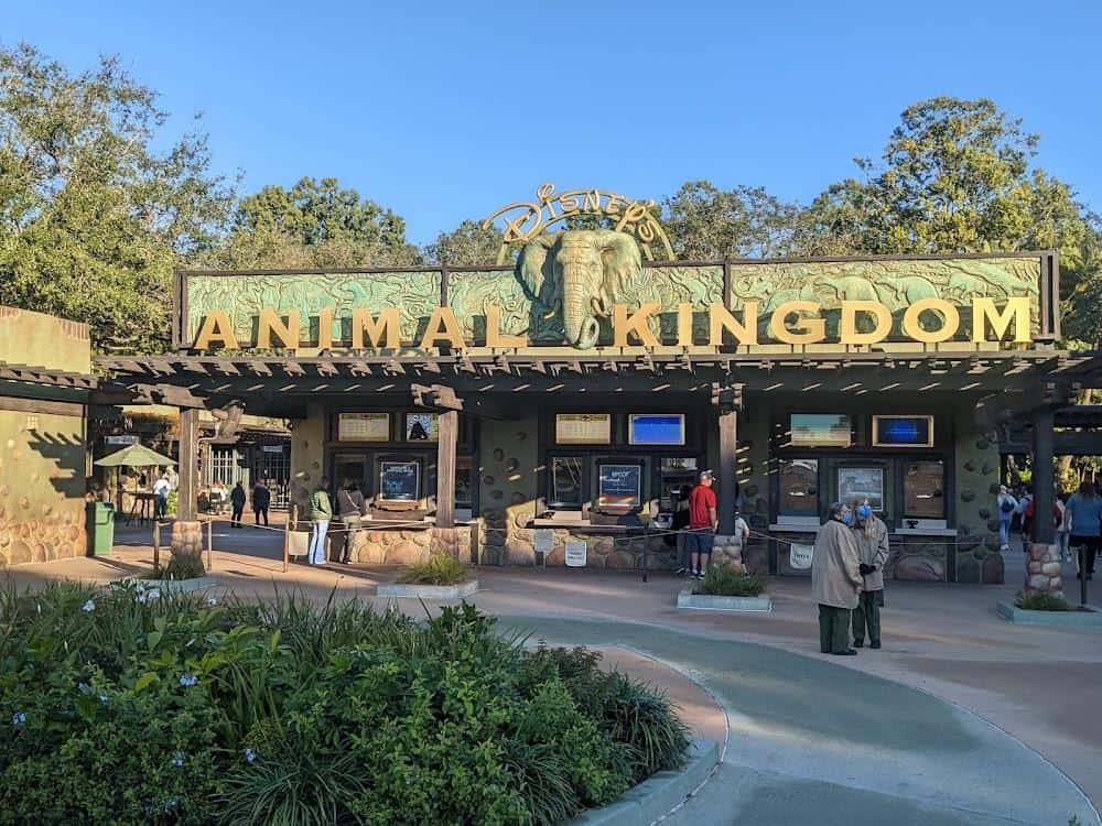 Animal Kingdom 3