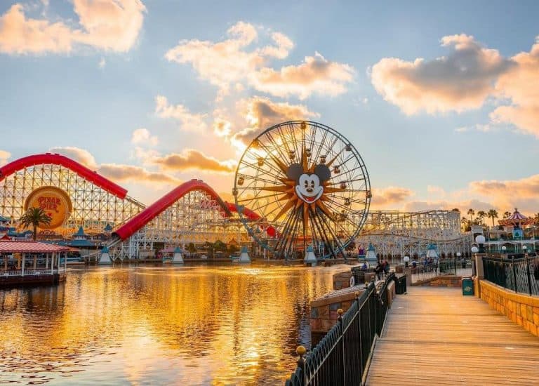 When did disneyland open parkveteran