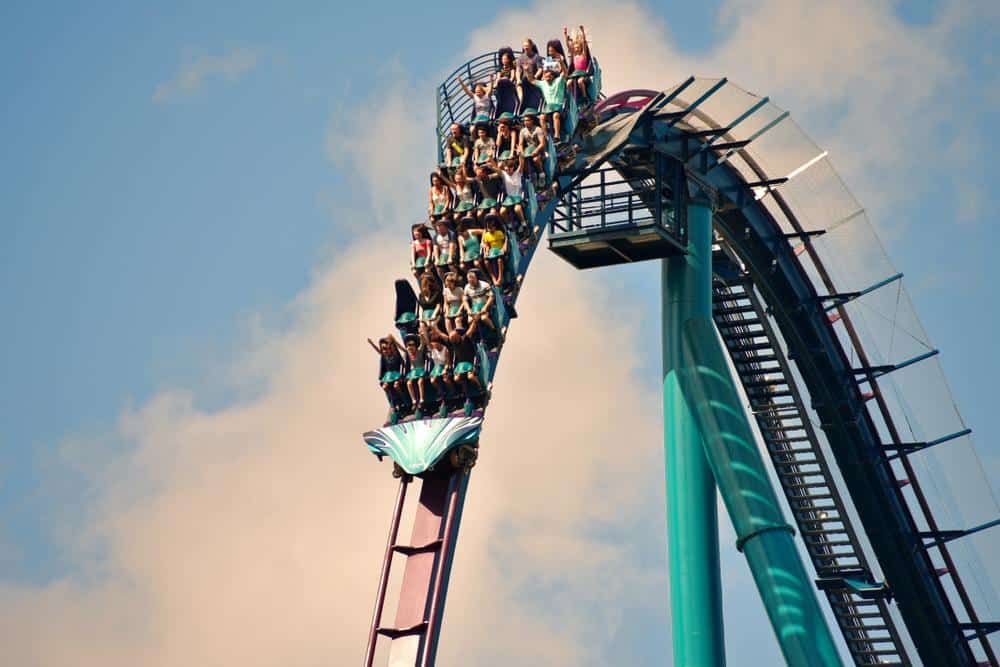 How Busy Is Disney World The Week After Christmas ParkVeteran